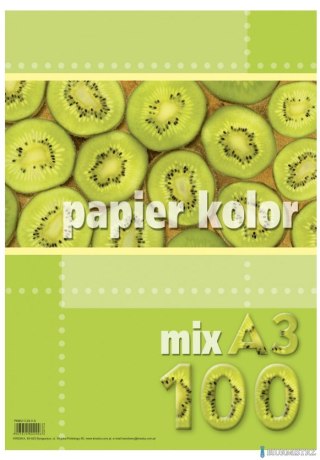 Papier xero A3 80g mix kolorów (100 arkuszy) KRESKA.