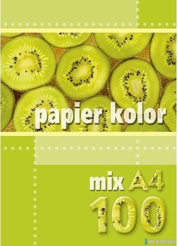 Papier xero A4 mix kolorów 160g (100 arkuszy) KRESKA.