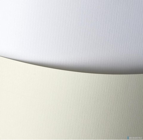 Karton ozd.A4 LAID biały 120g 206001(50) GALERIA PAPIERU