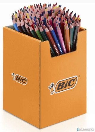 Kredki ołówkowe BIC Kids Evolution ECOlutions 144szt, 301858