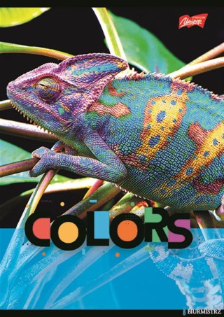 Zeszyt A5 32k krata laminowany EXOTIC COLORS SALE